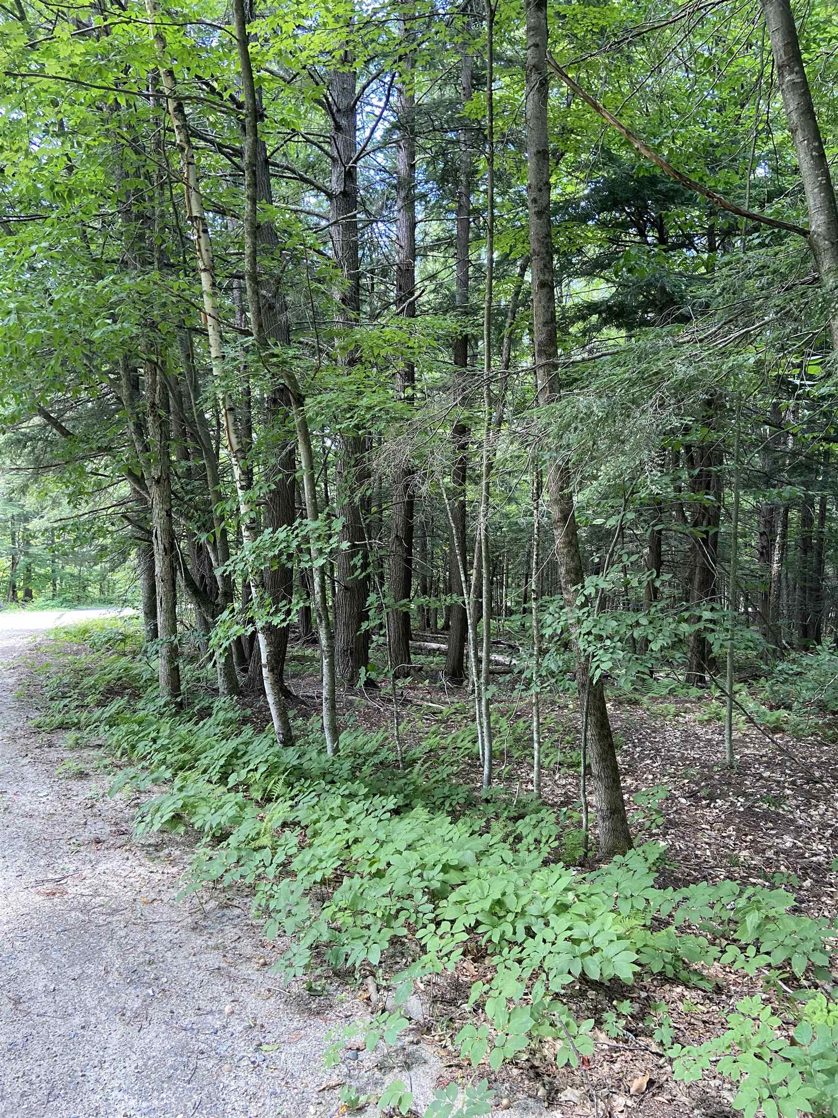 0 Norrie Davies Road Cavendish, VT 05142 - Photo 2 of 6