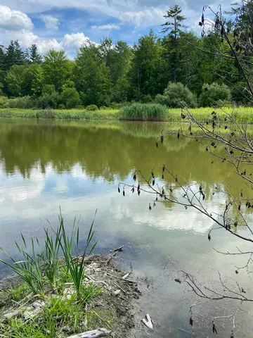 $119,000 | 0 Norrie Davies Road, Cavendish, VT 05142