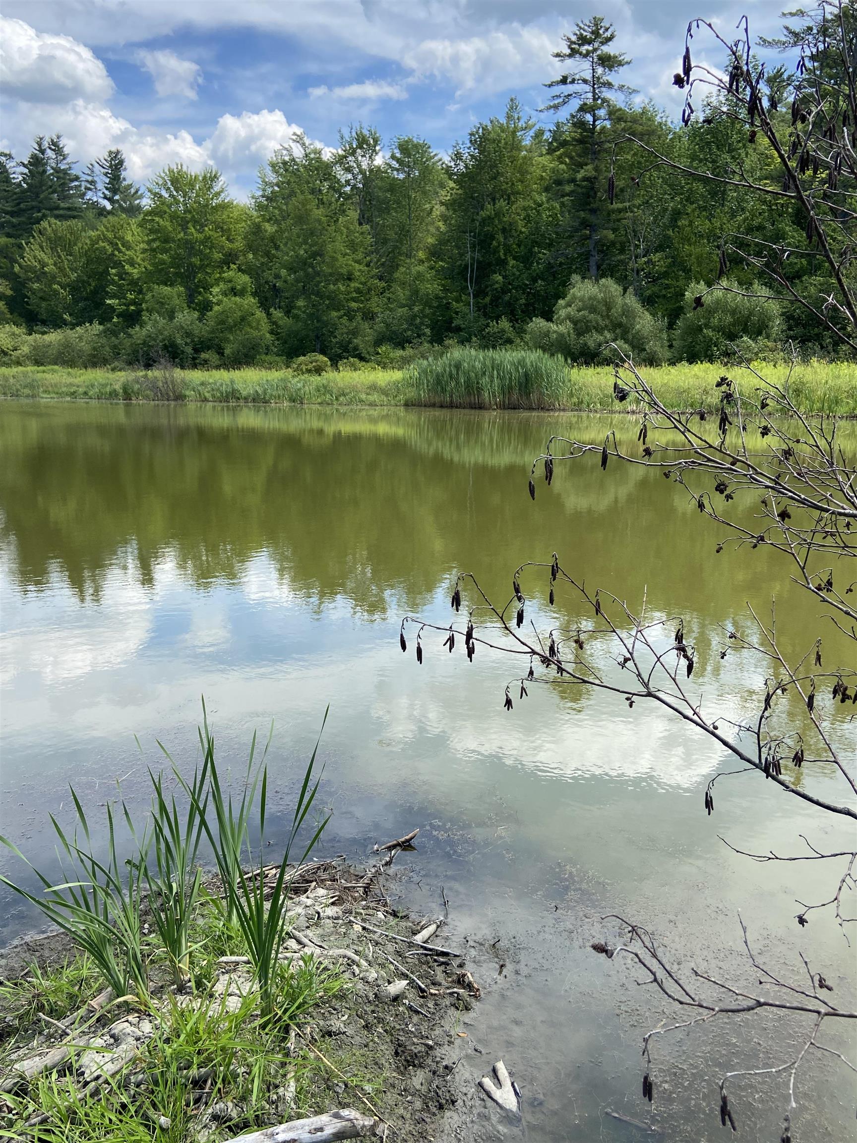0 Norrie Davies Road Cavendish, VT 05142 - Photo 3 of 6