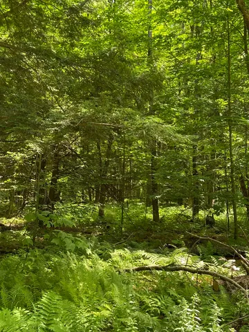 $119,000 | 0 Norrie Davies Road, Cavendish, VT 05142