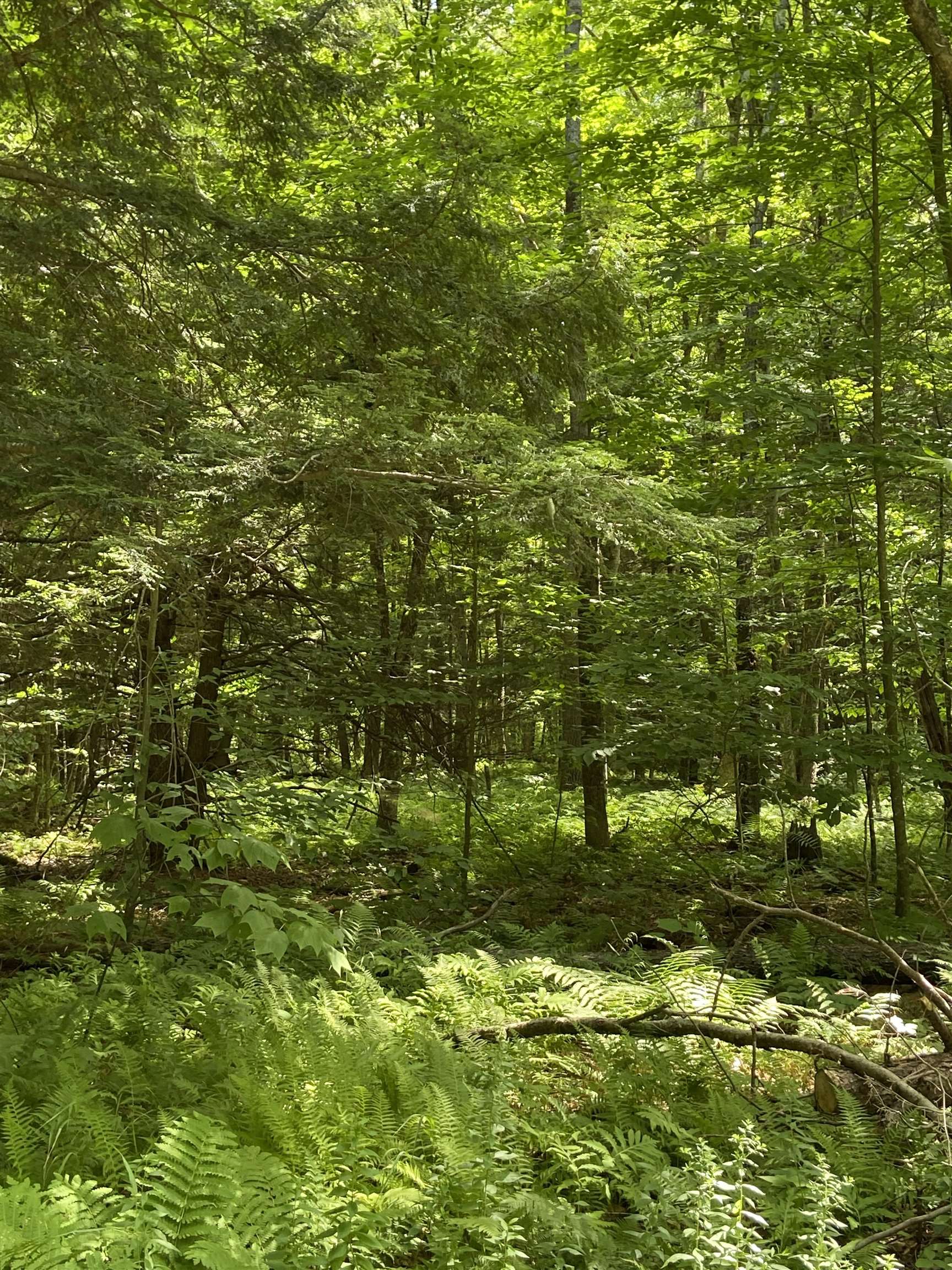 0 Norrie Davies Road Cavendish, VT 05142 - Photo 6 of 6