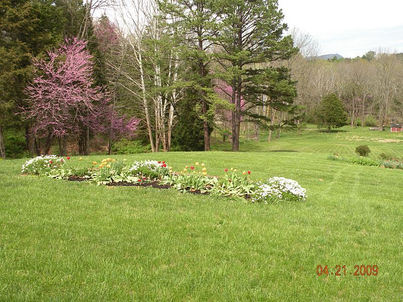 6549 Newland Road Roanoke, VA 24019 - Photo 25 of 29 huge and gorgeous backyard