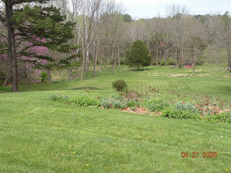 6549 Newland Road Roanoke, VA 24019 - Photo 26 of 29 backyard photo