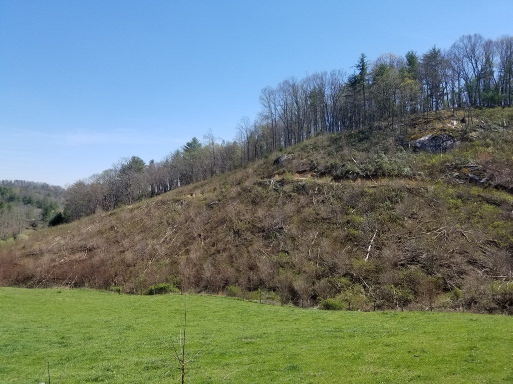 Tbd Peach Bottom Road, Unit 53A58B1 Independence, VA 24348 - Photo 6 of 14 Gallery Image 6