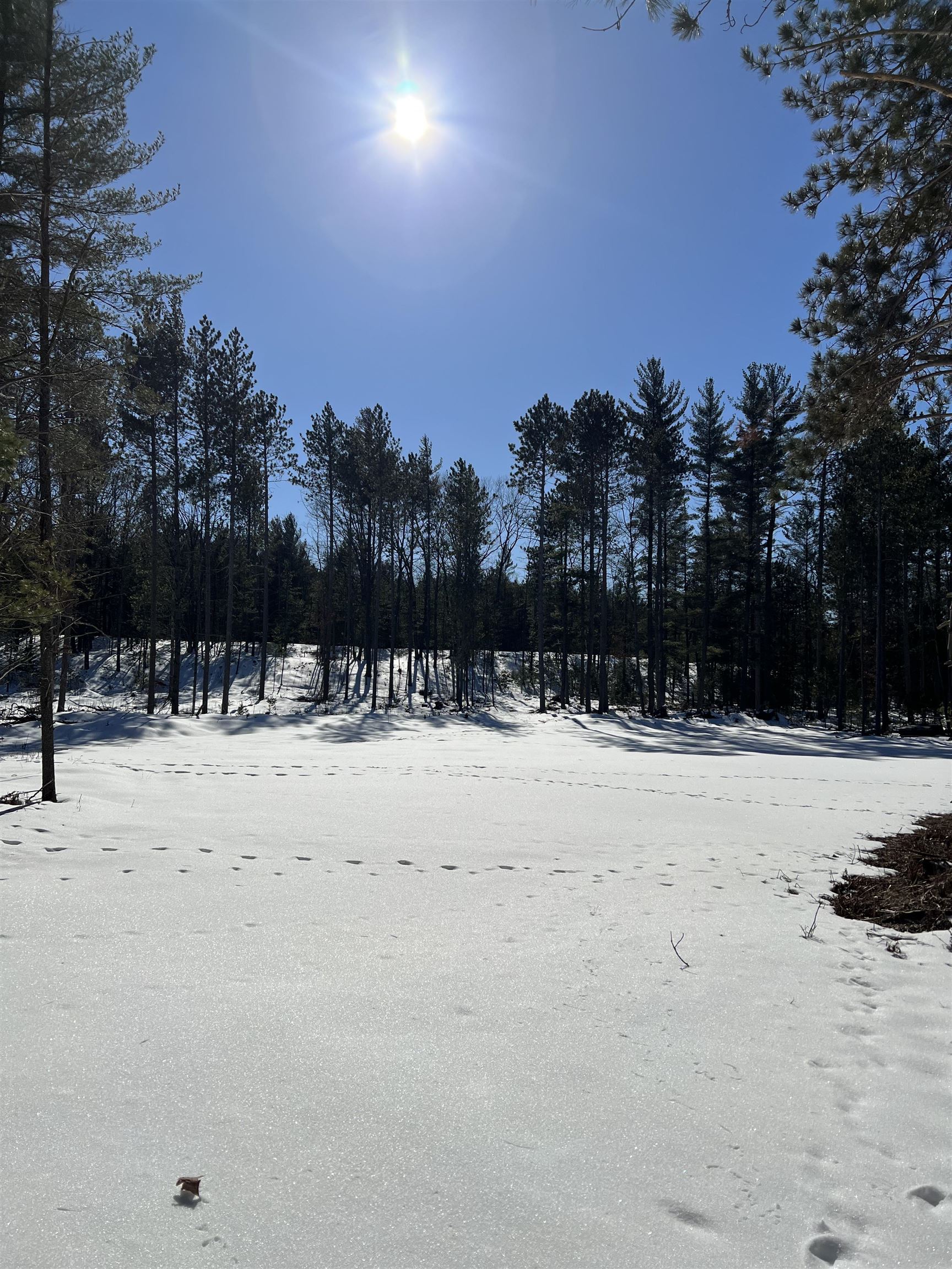 V/l Clark Road Fife Lake, MI 49633 - Photo 31 of 33 Gallery Image 31