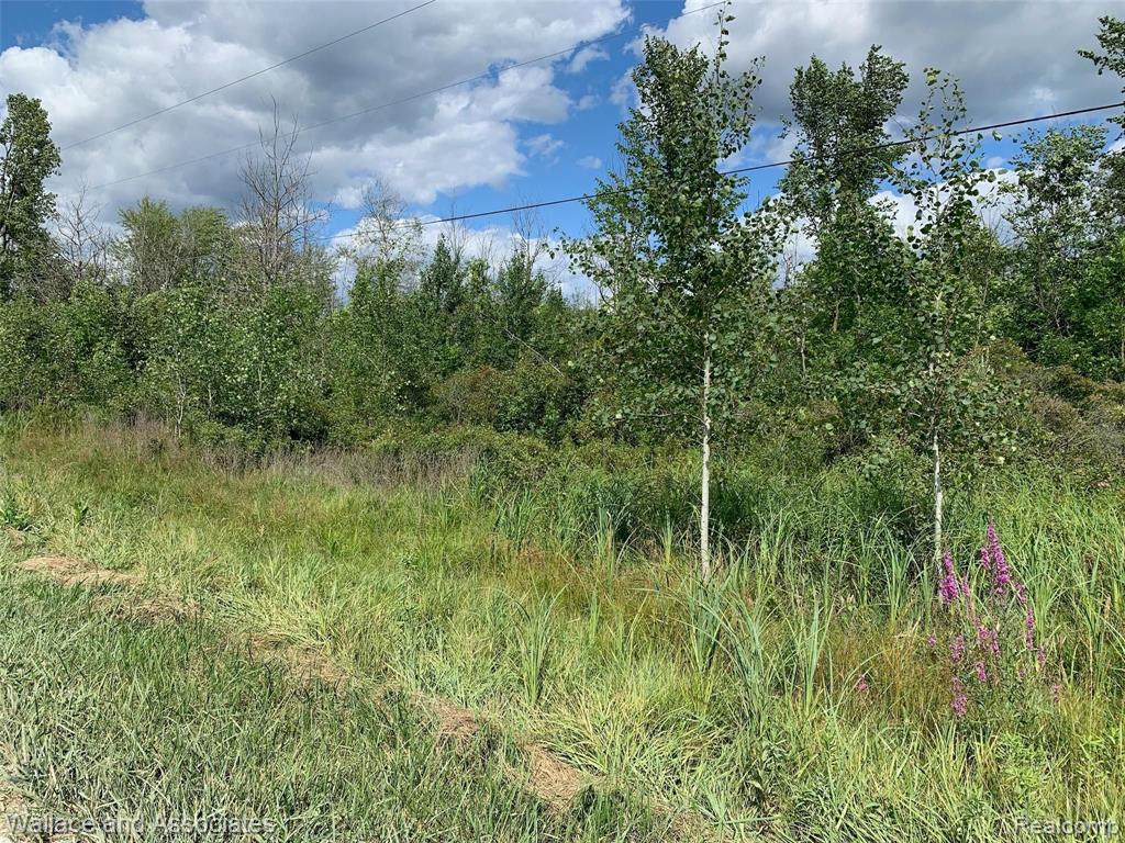 V/l Cribbins Road Jeddo, MI 48032 - Photo 4 of 4