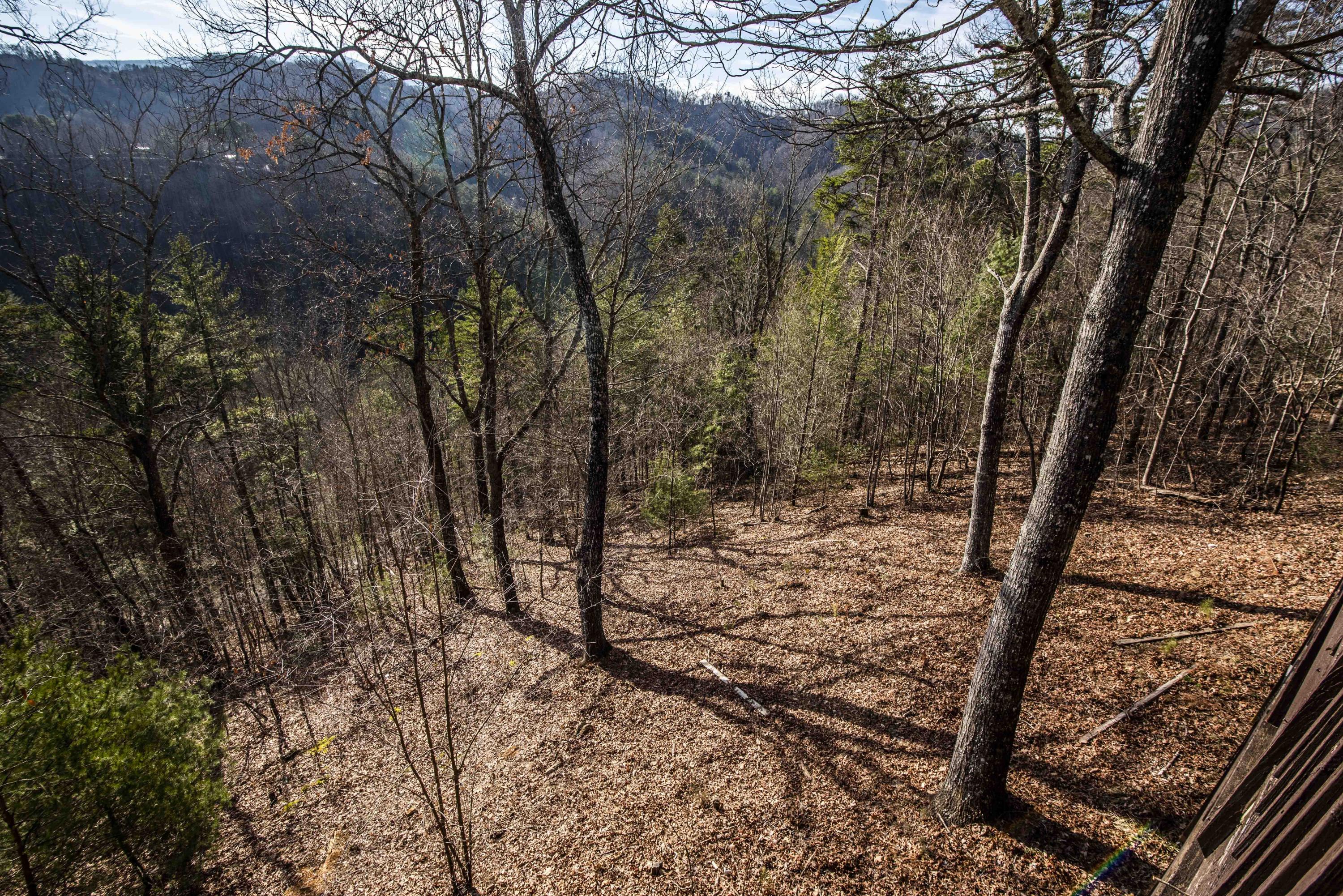 3021 Hatcher Top Road Sevierville, TN 37862 - Photo 34 of 40 yard_1