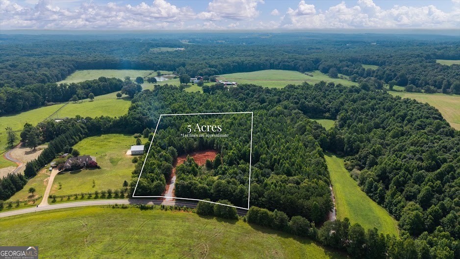 0 Shirey Dairy Road Carrollton, GA 30117 - Photo 1 of 19