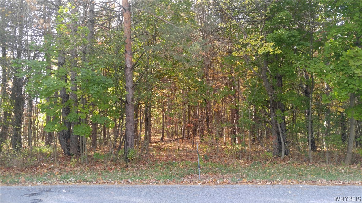 V/l Tinkham Road Darien Center, NY 14040 - Photo 1 of 1 Gallery Image 1