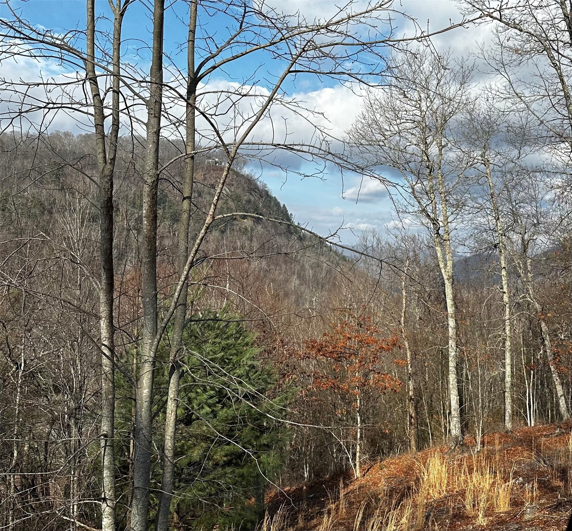 Lot 3 Ridgemont Drive Tuckasegee, NC 28783 - Photo 6 of 6 Cleared View Neighboring Lot Next Door
