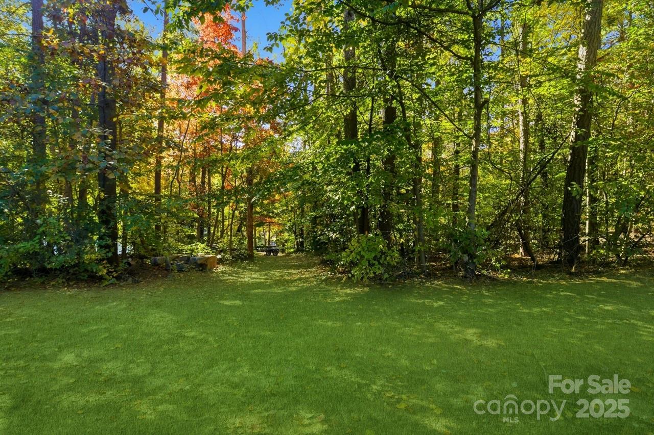 8825 Holdsclaw Road Terrell, NC 28682 - Photo 22 of 33 a view of a trees with a yard