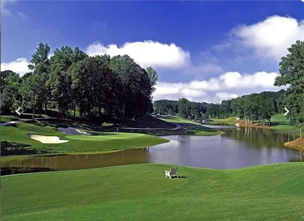 $1,349,000 | 208 Windsor Green Court, Canton, GA 30115