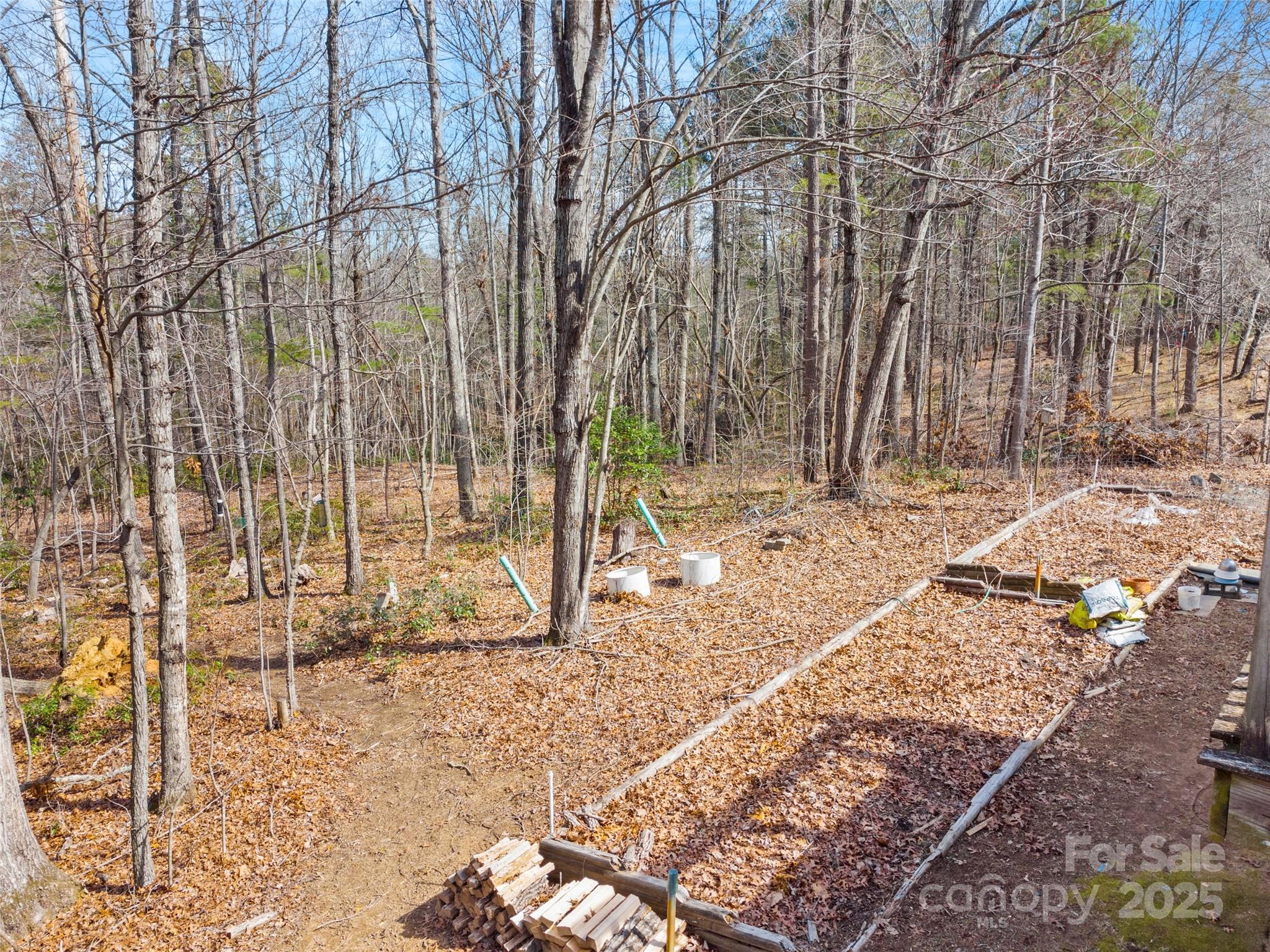 875 Burma Road East Marion, NC 28752 - Photo 26 of 30 Gallery Image 26