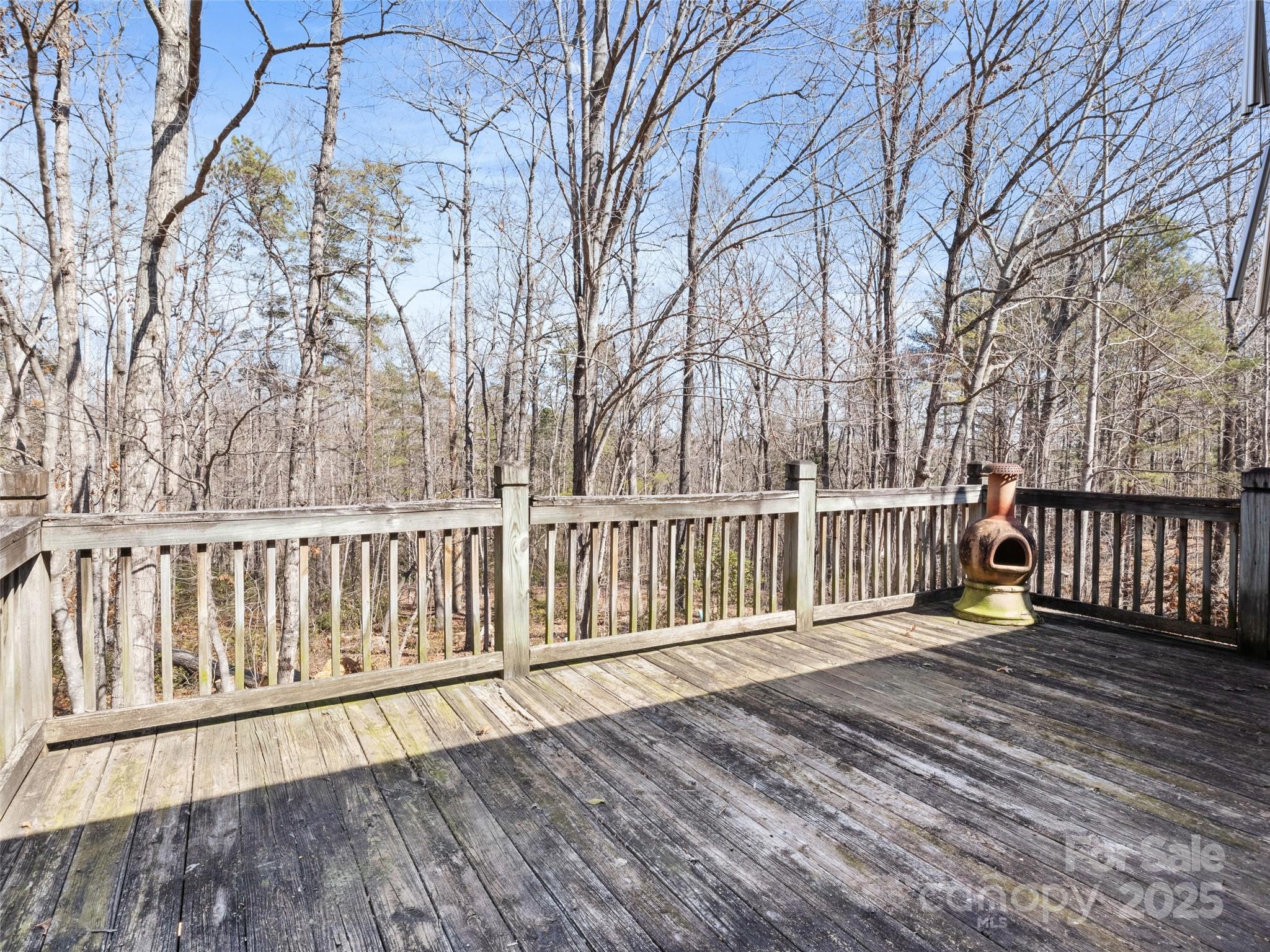 875 Burma Road East Marion, NC 28752 - Photo 7 of 30 Gallery Image 7