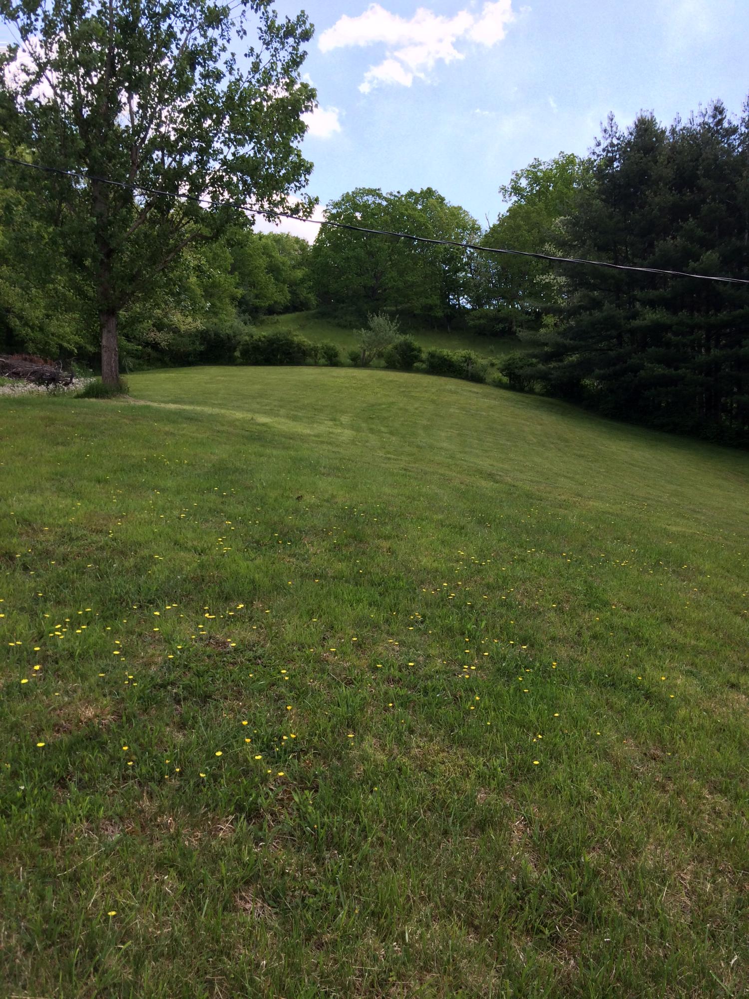 3377 Grassy Meadows Road Alderson, WV 24910 - Photo 21 of 24 Gallery Image 21
