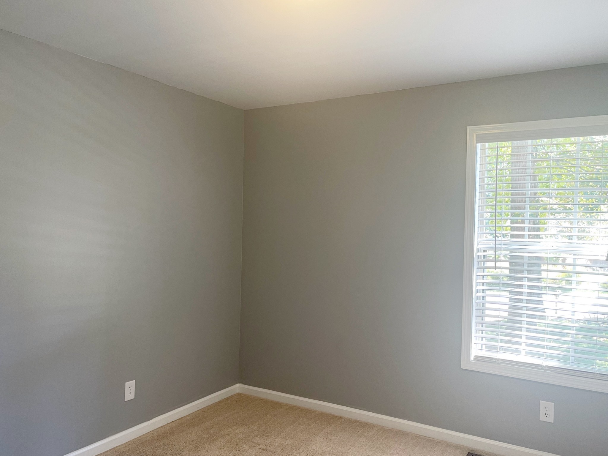3320 Backridge Road Woodlawn, TN 37191 - Photo 20 of 32 Gallery Image 20