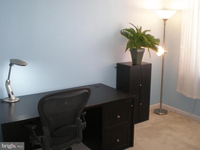 11710 Old Georgetown Road, Unit 408 Rockville, MD 20852 - Photo 11 of 27 a potted plant sitting on a table and chair