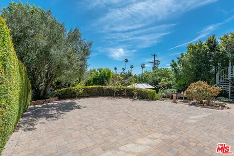 a view of a tree in a yard