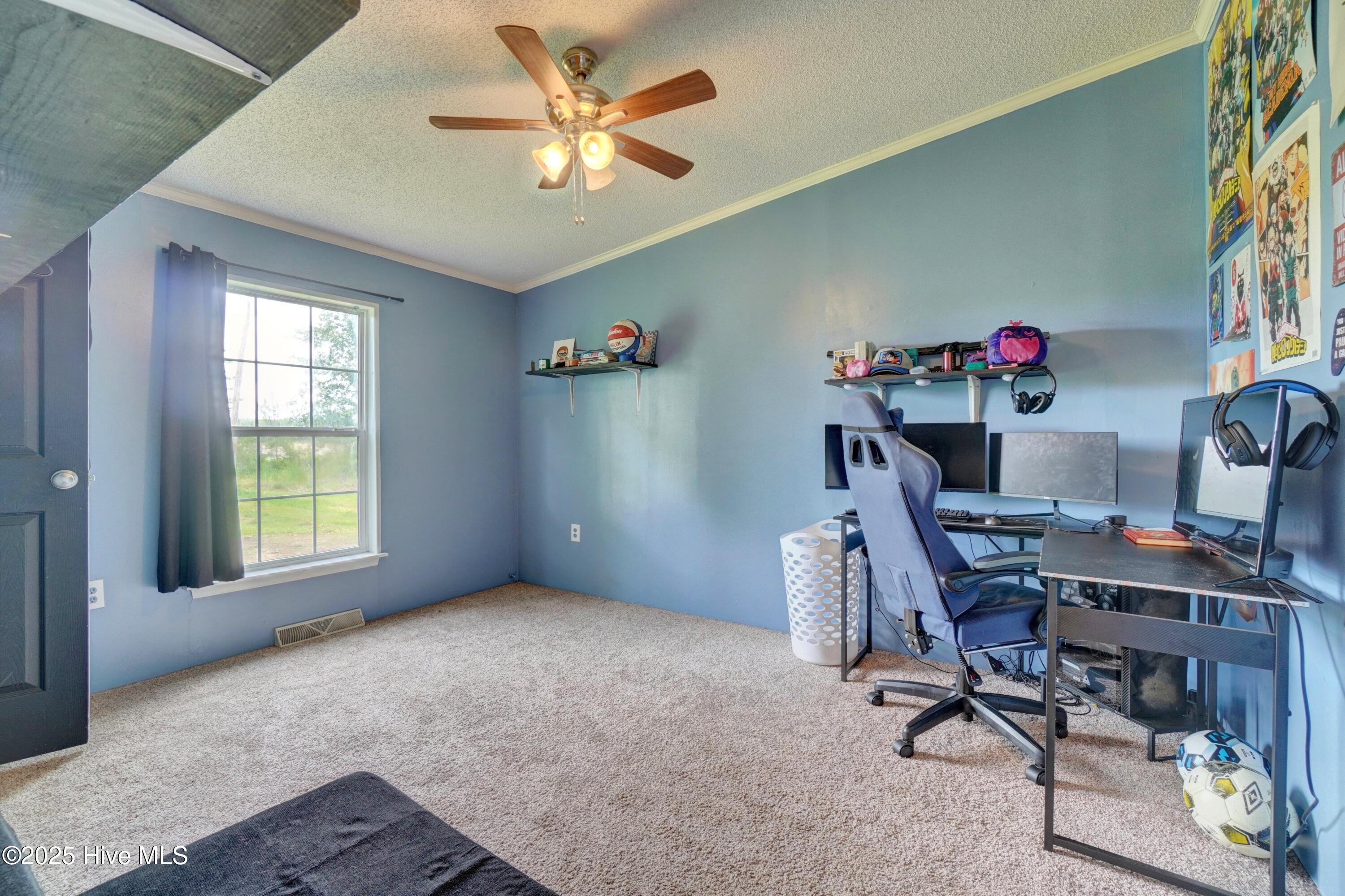 47 Tinkham Road Eure, NC 27935 - Photo 26 of 39 47tr (24)