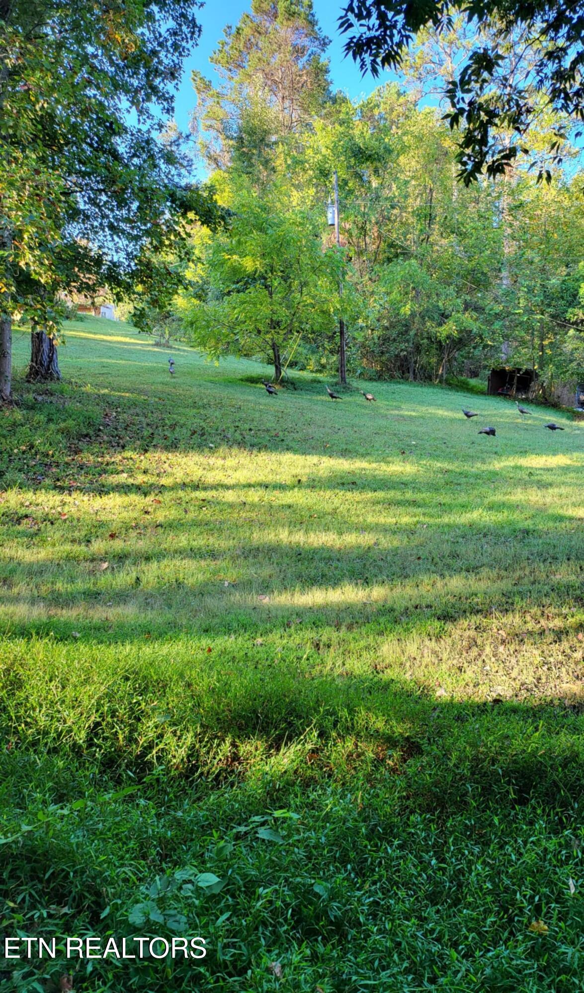 2143 Everett Road Knoxville, TN 37932 - Photo 23 of 44 att.dEjceN8zw35CU-rIptX_MTMz2dwDYSnNE7Lq
