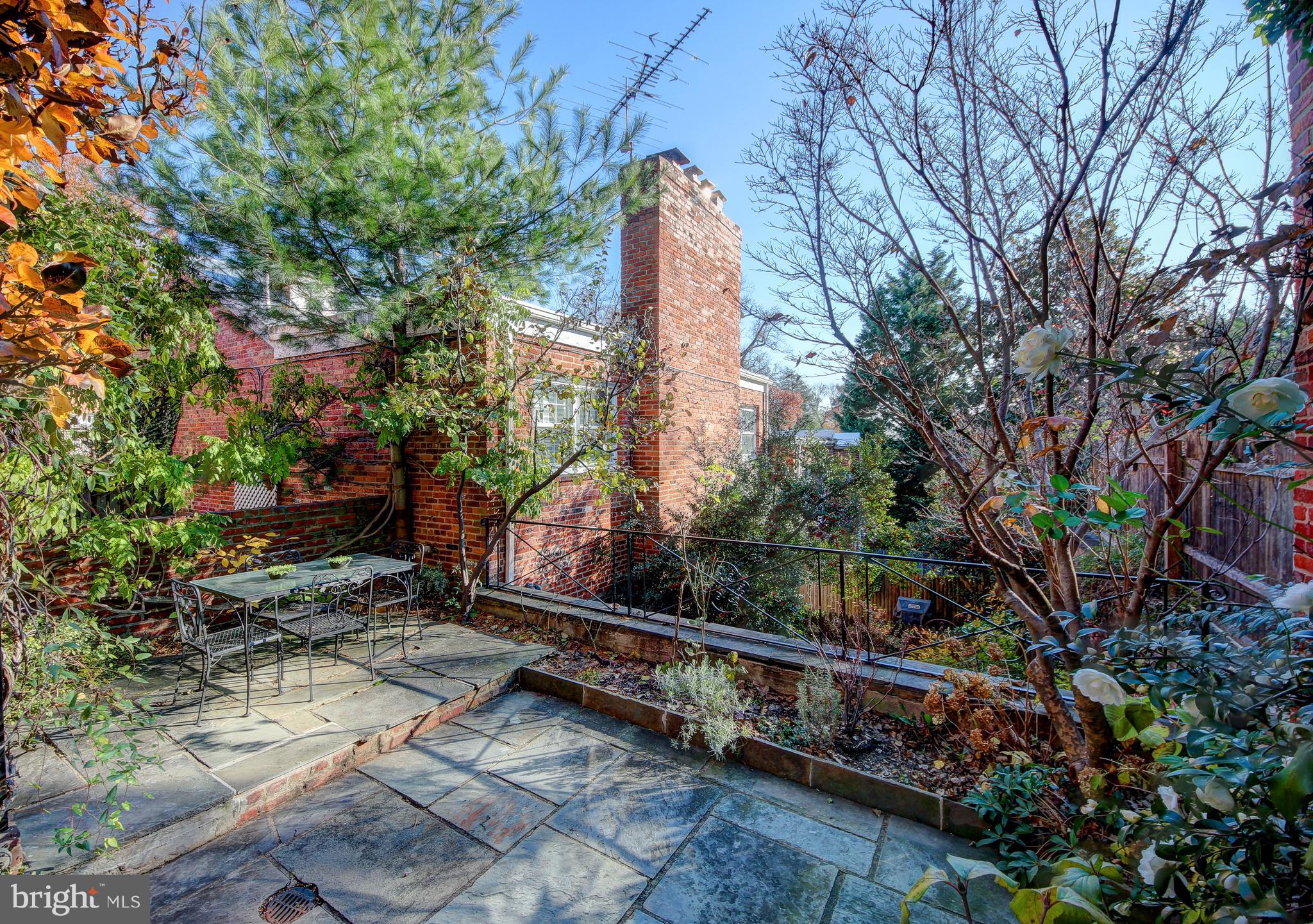 3204 Reservoir Road Northwest Washington, DC 20007 - Photo 8 of 28 Wide terrace w/ established plantings