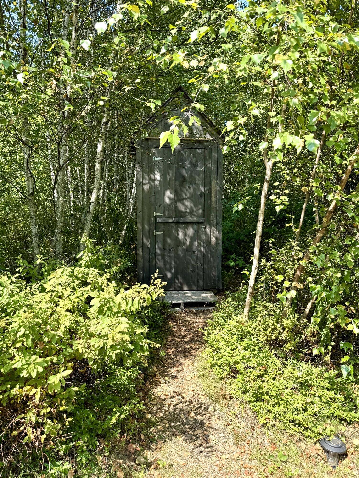 64 Dam Road Beddington, ME 04622 - Photo 25 of 40 IMG_1882