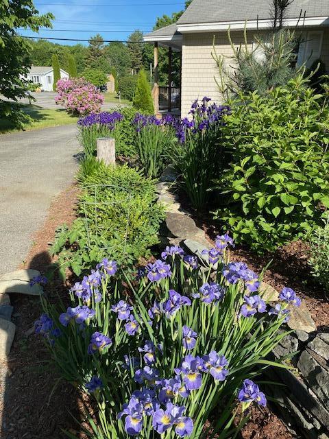 185 Pond Road Lewiston, ME 04240 - Photo 20 of 26 flowers 3