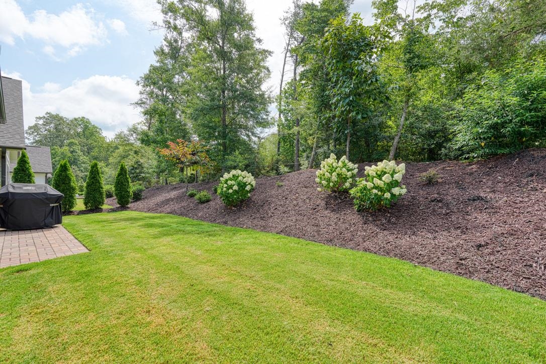 443 Brunswick Lane Inman, SC 29349 - Photo 38 of 42