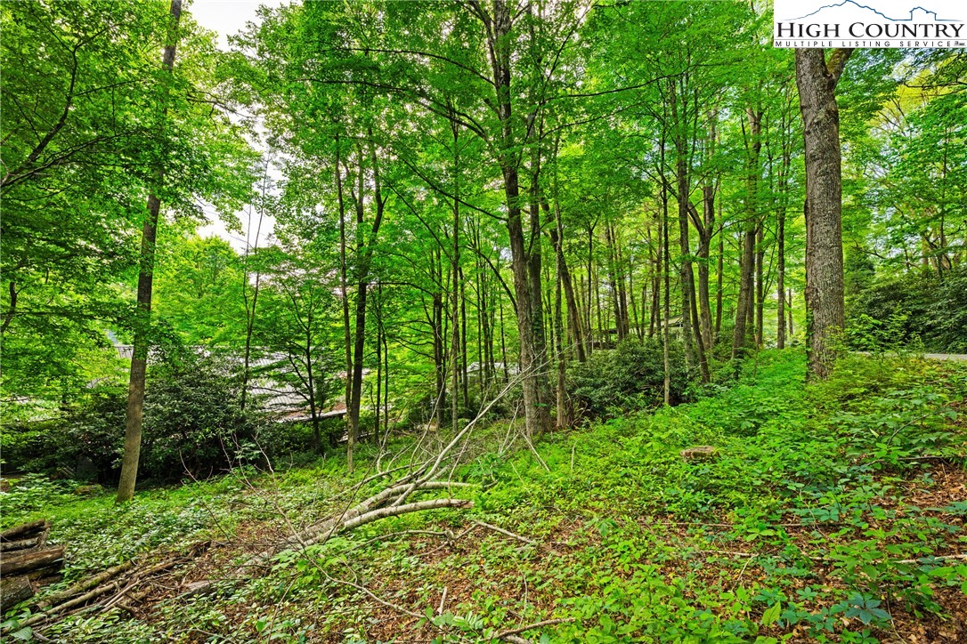 140 Pine View Road Newland, NC 28657 - Photo 2 of 30 a view of lush green forest