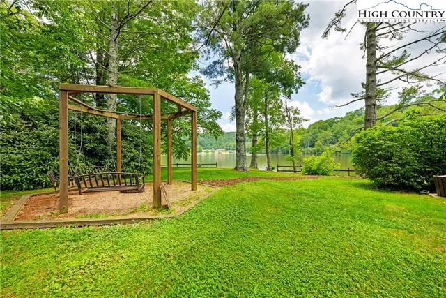 a view of a large trees with lawn chairs