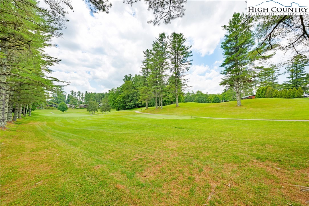 140 Pine View Road Newland, NC 28657 - Photo 22 of 30 a view of a large trees with lawn chairs