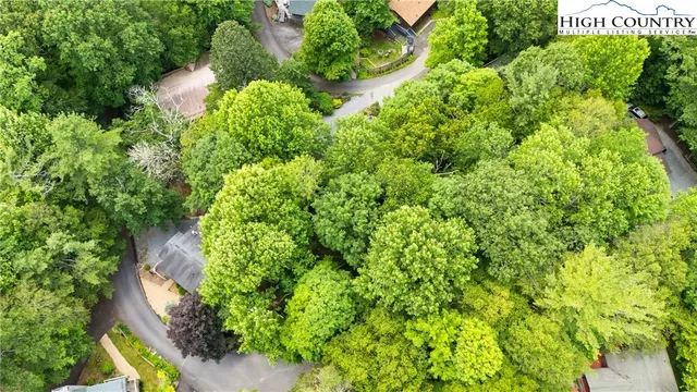 a view of a garden with plants