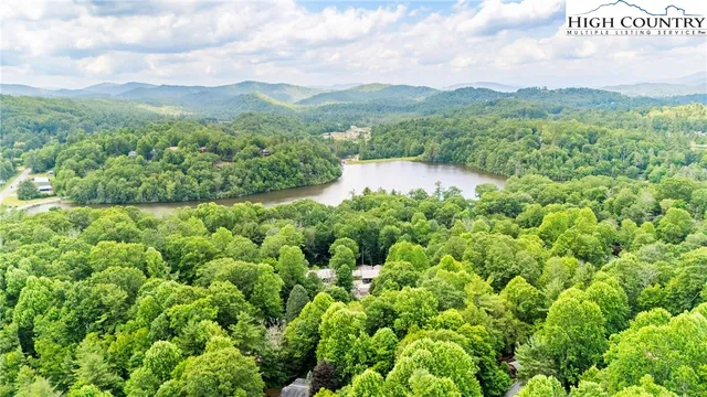 a view of a lush green field with lots of bushes