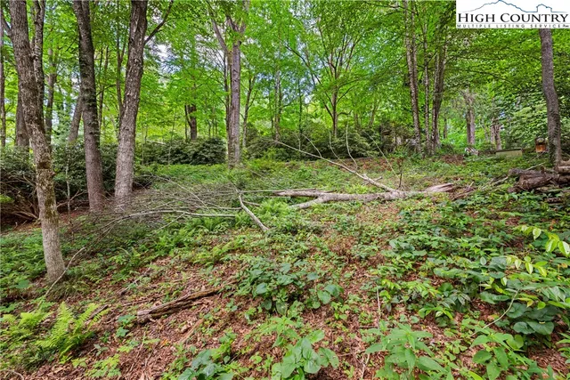 a big yard with lots of green space and deers