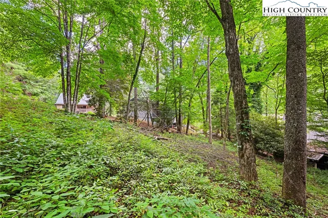 a big yard with lots of green space and trees