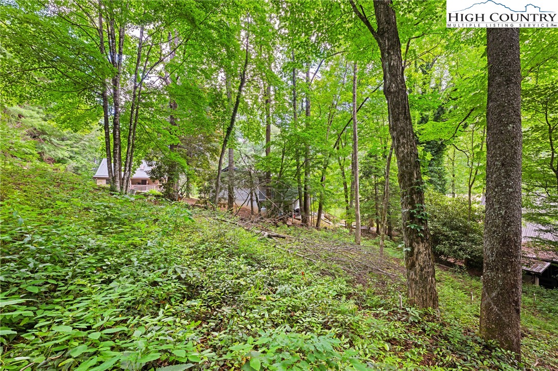 140 Pine View Road Newland, NC 28657 - Photo 5 of 30 a big yard with lots of green space and trees
