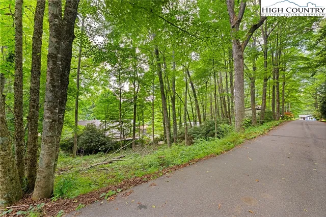 a view of a garden with plants