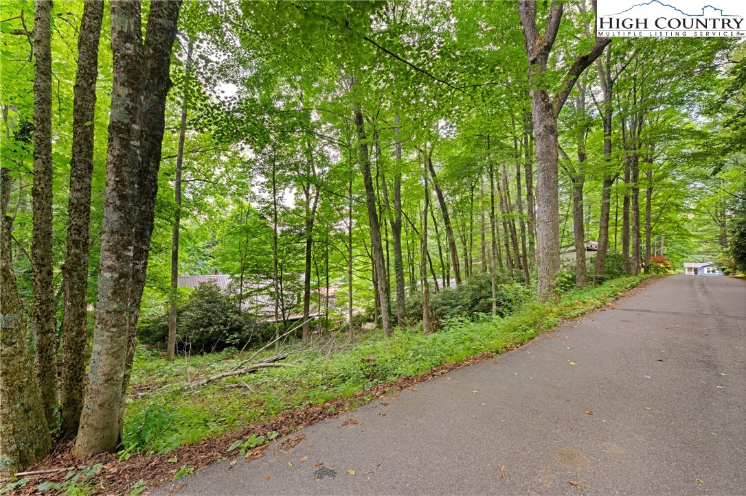140 Pine View Road Newland, NC 28657 - Photo 6 of 30 a view of a garden with plants