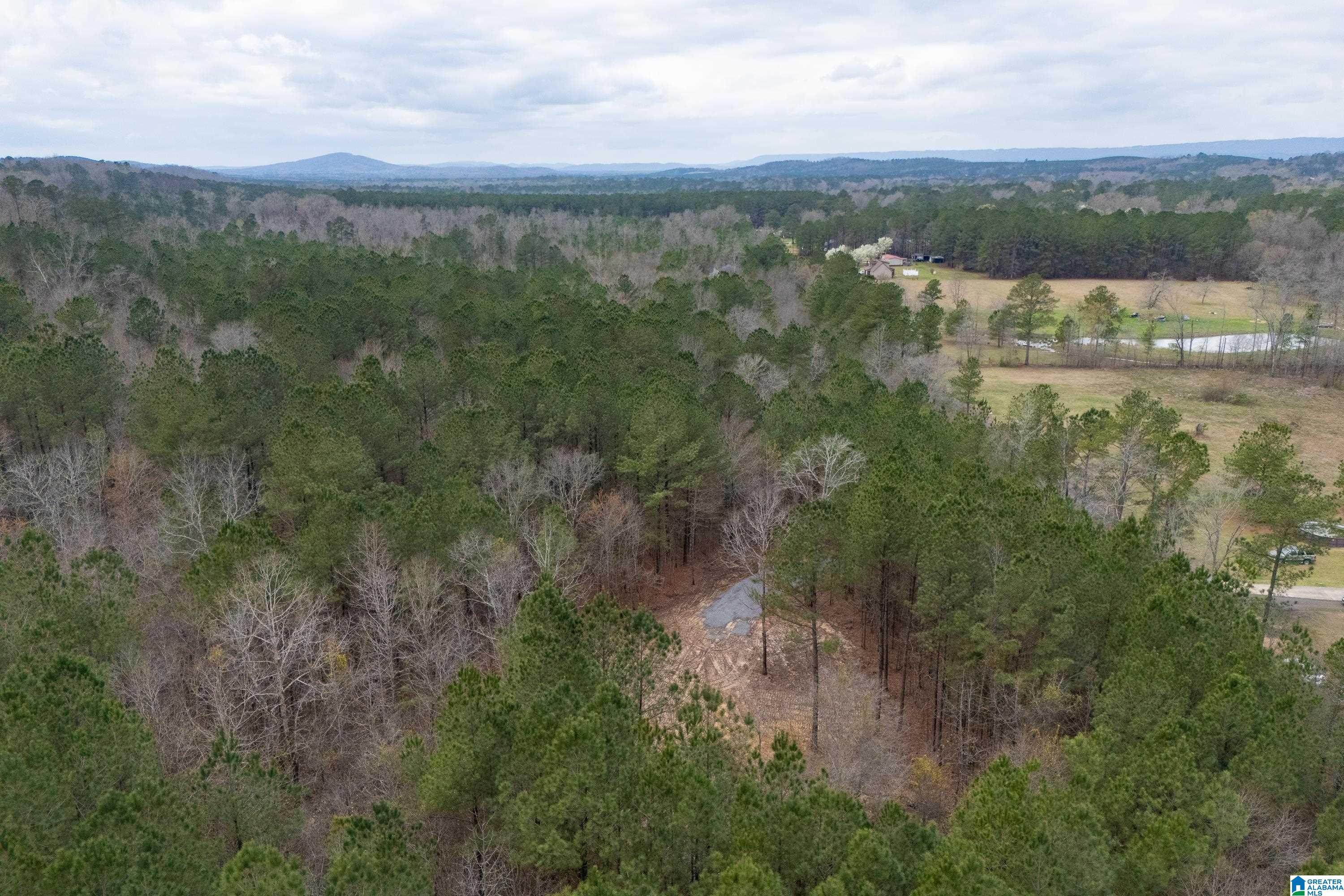 7 Fisher Phillips, Unit 7 Ashville, AL 35953 - Photo 28 of 28