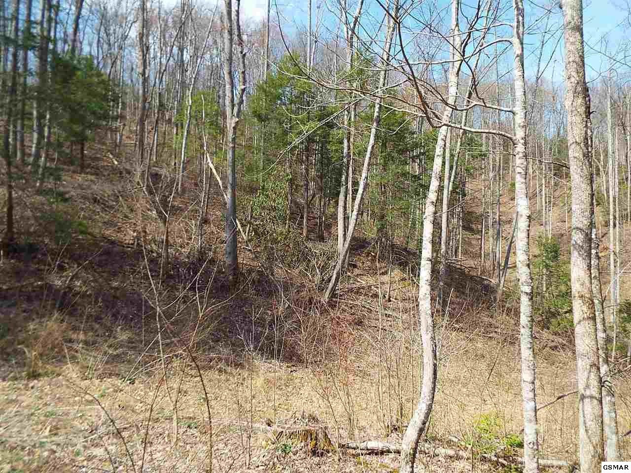 7903 Ground Hog Road Cosby, TN 37722 - Photo 11 of 35 Gallery Image 11