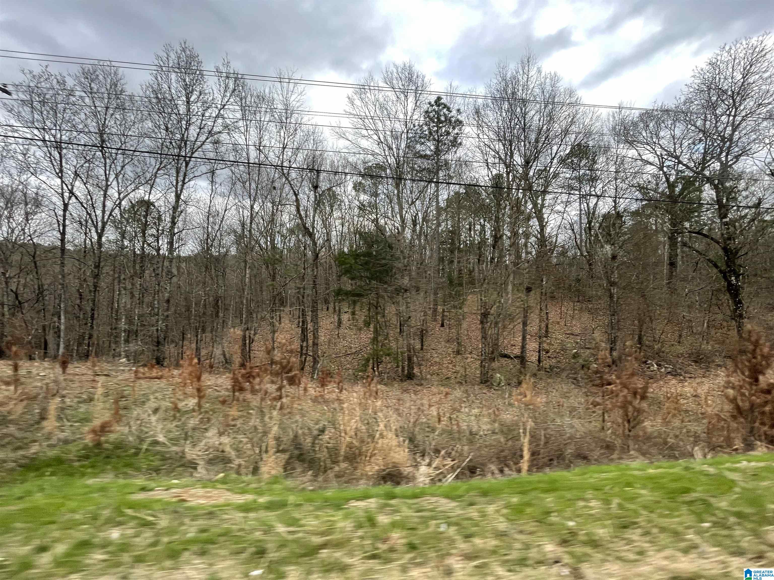 0 Stemley Road Talladega, AL 35160 - Photo 5 of 5