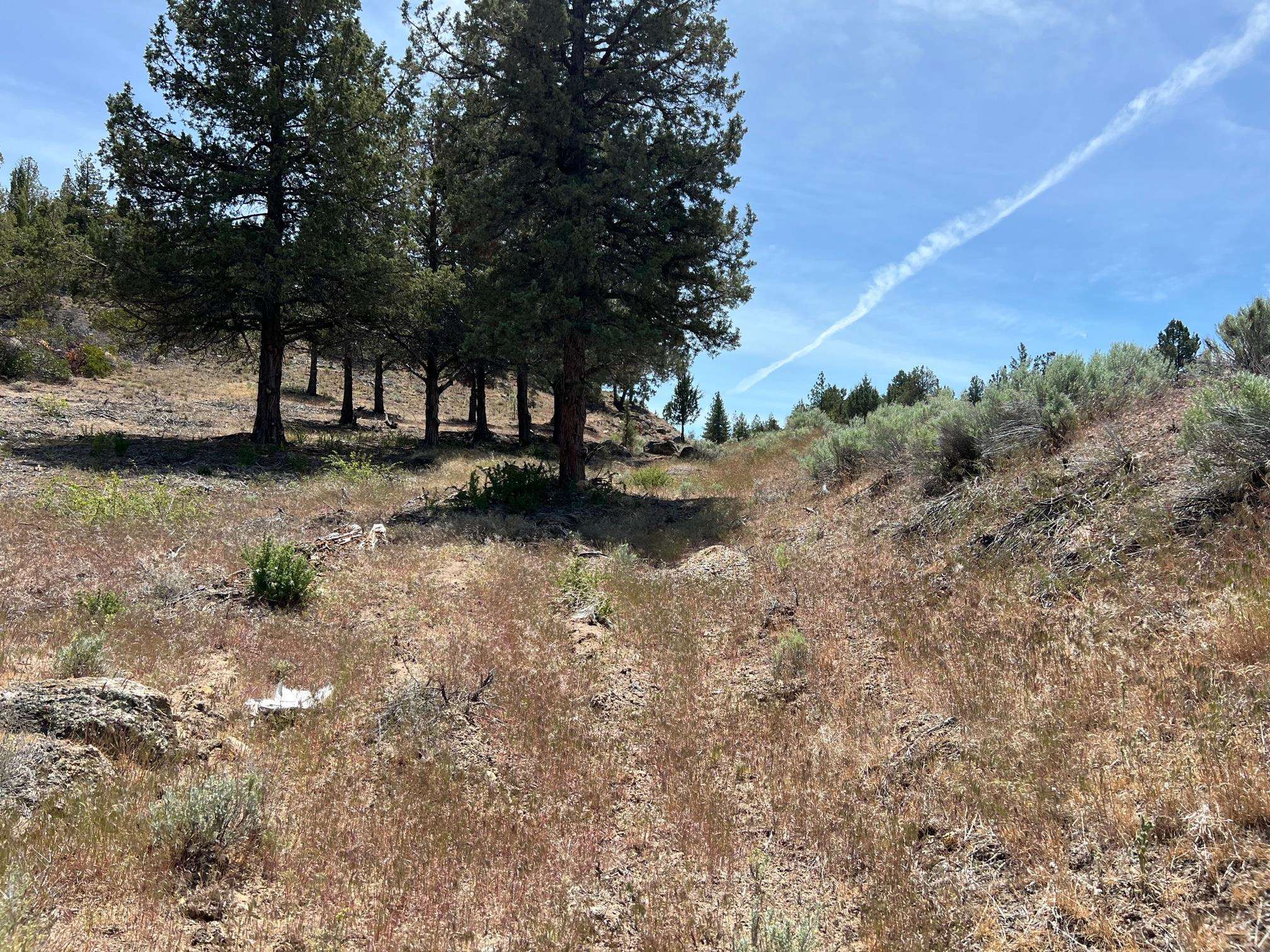 85 Big Springs Road Weed, CA 96094 - Photo 4 of 10 Gallery Image 4