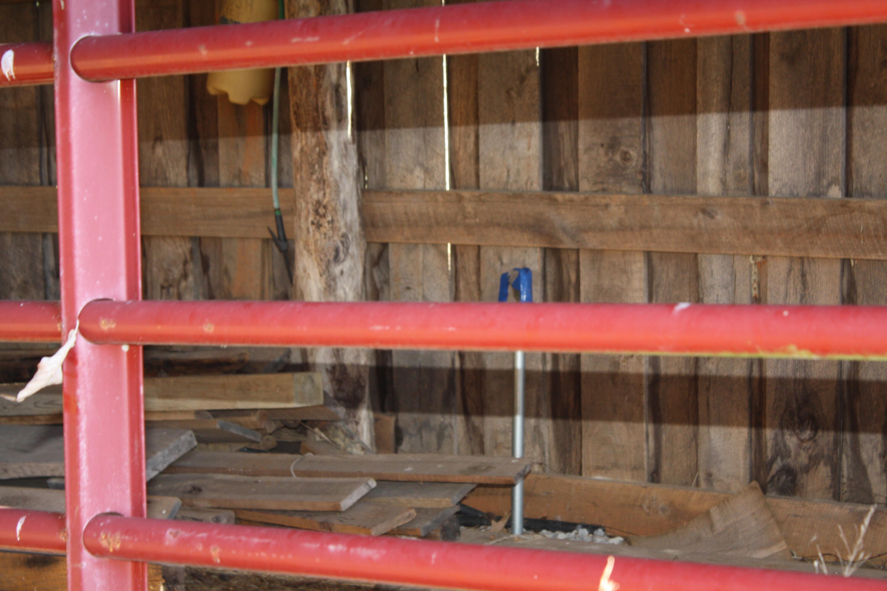 Zion Mountain Road Hinton, WV 25951 - Photo 48 of 73 Gallery Image 48