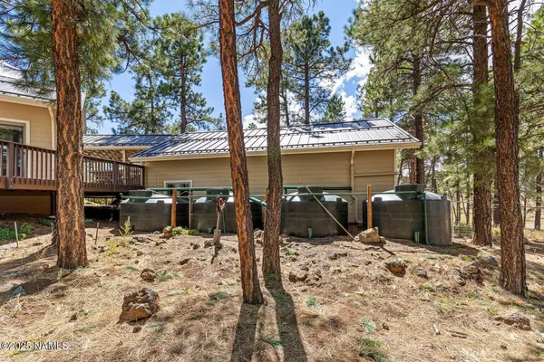 a view of a yard with a tree
