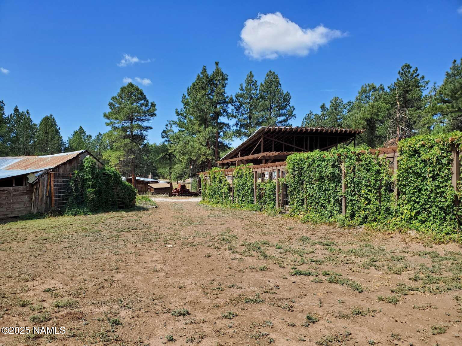 995 North Transwestern Pump Road Bellemont, AZ 86015 - Photo 19 of 81 a backyard of a house with lots of green space