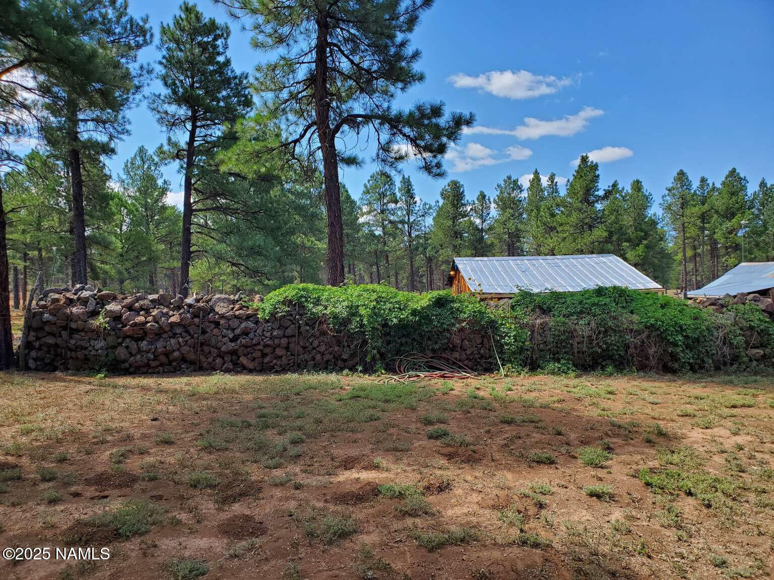 995 North Transwestern Pump Road Bellemont, AZ 86015 - Photo 10 of 81 Ramsey.9