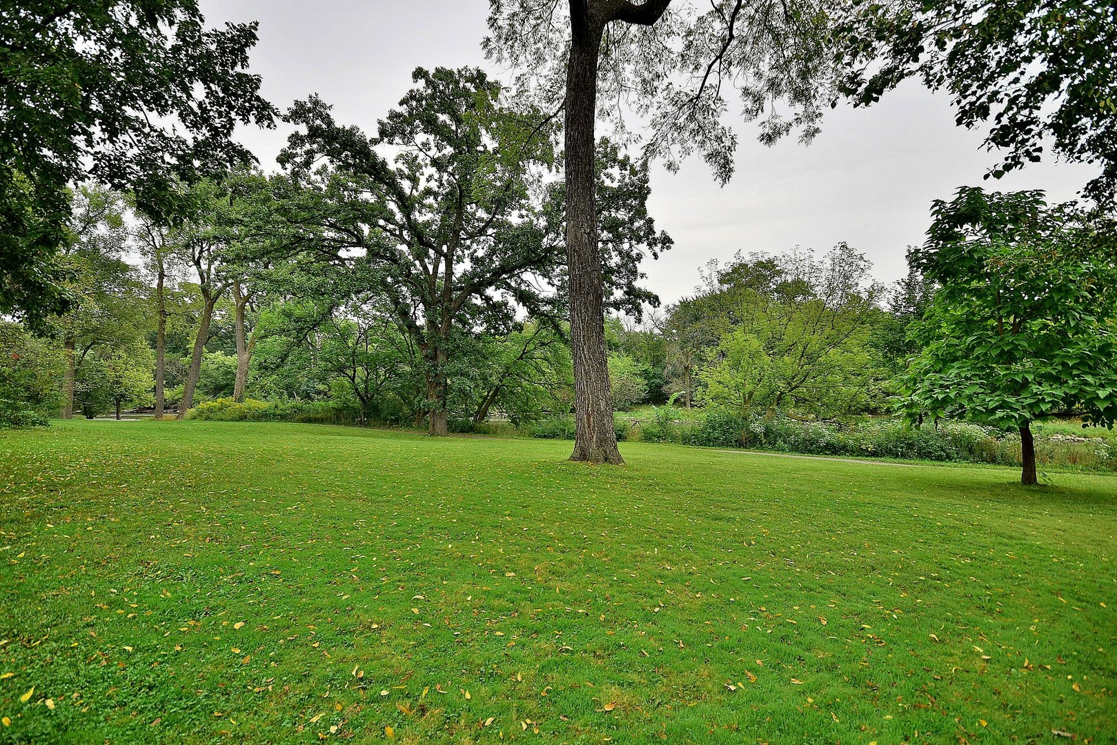 174 Fairbank Road Riverside, IL 60546 - Photo 28 of 31 a view of field with trees in the background
