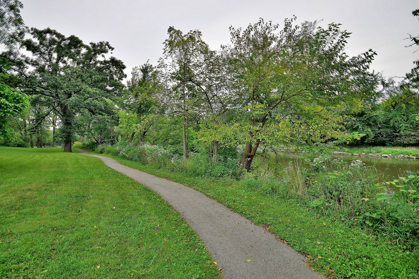 174 Fairbank Road Riverside, IL 60546 - Photo 29 of 31 a view of a green field with a tree
