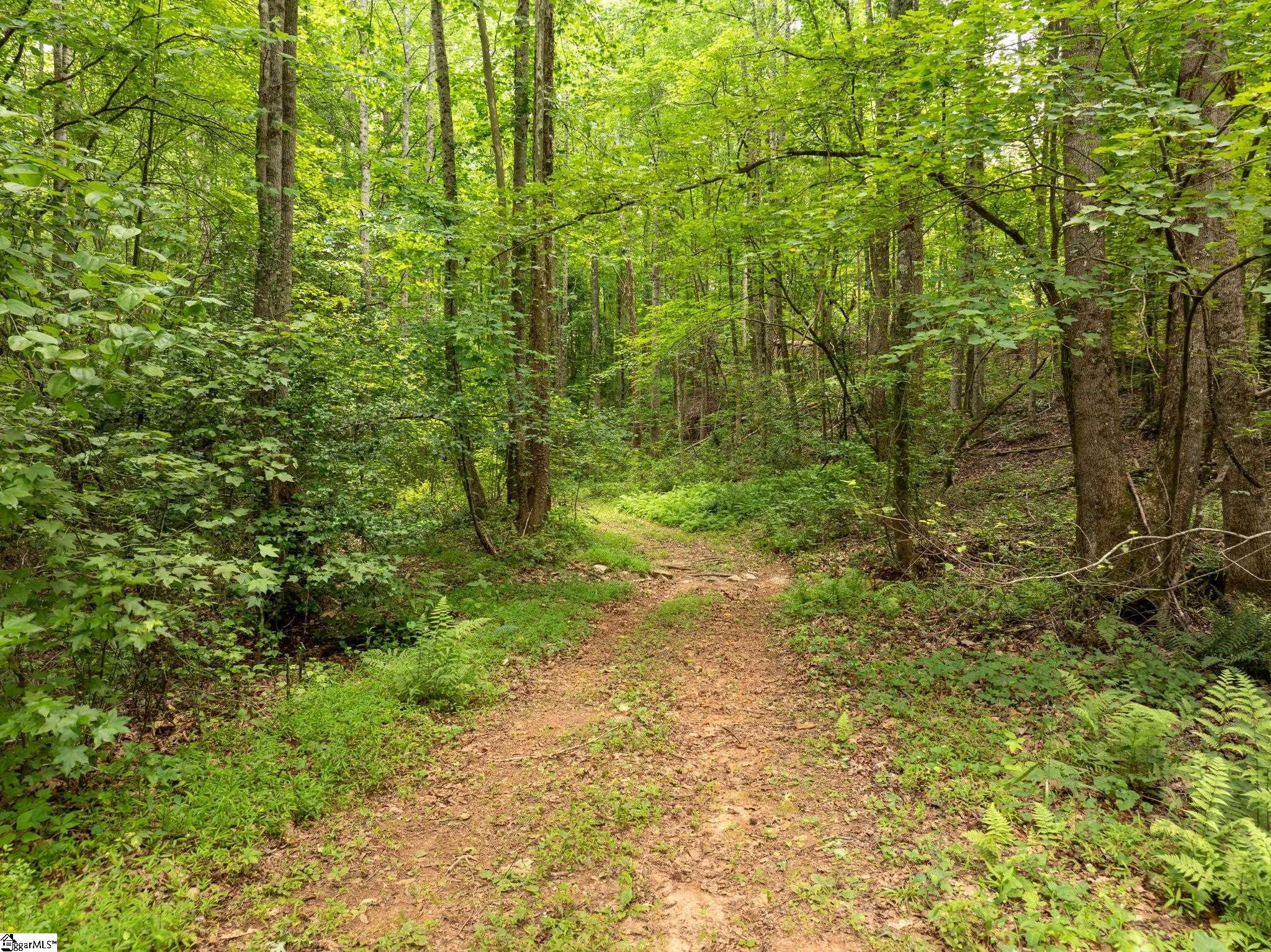 1350 Lee Cudd Road Rutherfordton, NC 28139 - Photo 6 of 34