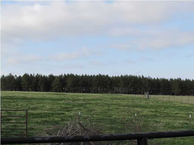592 Jerusalem Church Road Brandon, MS 39042 - Photo 14 of 33 Photo 14